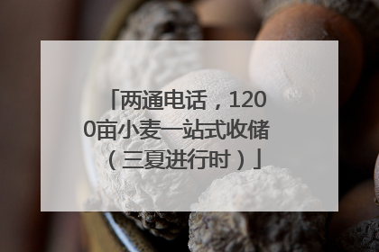 两通电话，1200亩小麦一站式收储（三夏进行时）