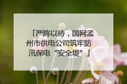 严阵以待，国网孟州市供电公司筑牢防汛保电“安全堤”