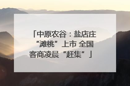中原农谷：盐店庄“滩桃”上市 全国客商凌晨“赶集”