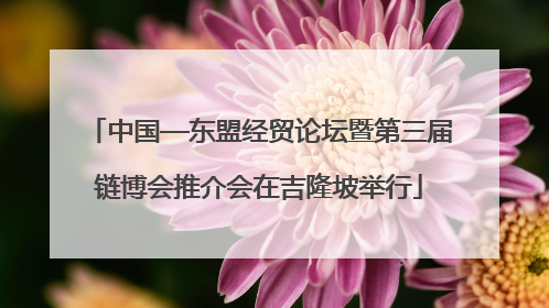 中国—东盟经贸论坛暨第三届链博会推介会在吉隆坡举行