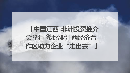 中国江西-非洲投资推介会举行 赞比亚江西经济合作区助力企业“走出去”