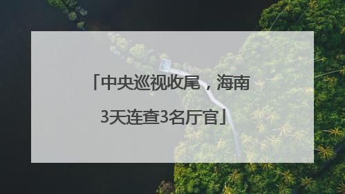 中央巡视收尾，海南3天连查3名厅官