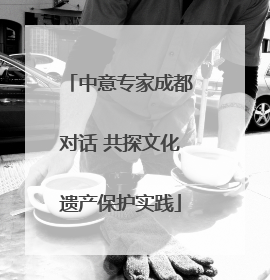 中意专家成都对话 共探文化遗产保护实践