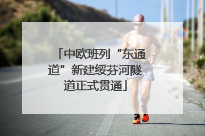 中欧班列“东通道”新建绥芬河隧道正式贯通