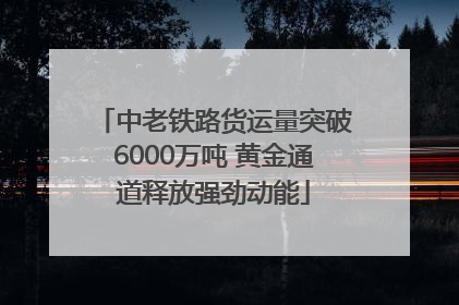 中老铁路货运量突破6000万吨 黄金通道释放强劲动能