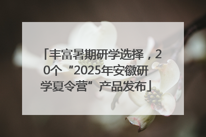 丰富暑期研学选择，20个“2025年安徽研学夏令营”产品发布
