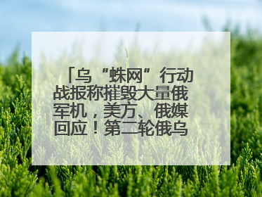 乌“蛛网”行动战报称摧毁大量俄军机，美方、俄媒回应！第二轮俄乌谈判在即，乌克兰提出三大诉求
