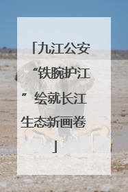 九江公安“铁腕护江”绘就长江生态新画卷