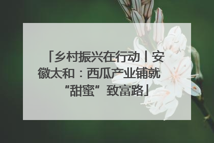 乡村振兴在行动丨安徽太和：西瓜产业铺就“甜蜜”致富路