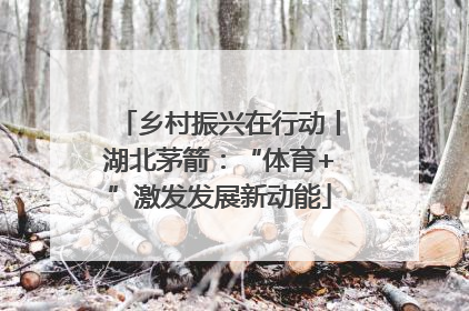乡村振兴在行动丨湖北茅箭：“体育+”激发发展新动能