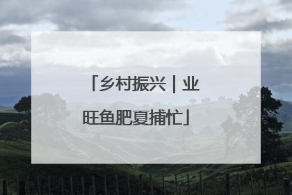 乡村振兴｜业旺鱼肥夏捕忙