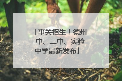 事关招生！德州一中、二中、实验中学最新发布