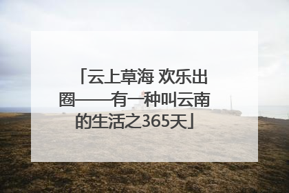 云上草海 欢乐出圈——有一种叫云南的生活之365天