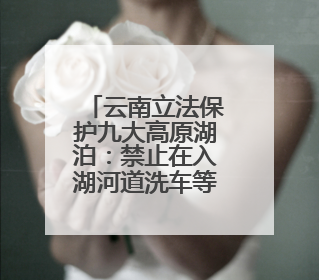 云南立法保护九大高原湖泊：禁止在入湖河道洗车等，9月1日起施行
