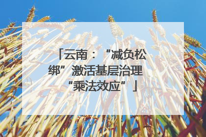 云南：“减负松绑”激活基层治理“乘法效应”
