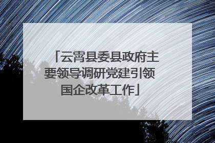 云霄县委县政府主要领导调研党建引领国企改革工作