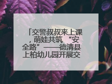 交警叔叔来上课，萌娃共筑 “安全路”——德清县上柏幼儿园开展交通安全课