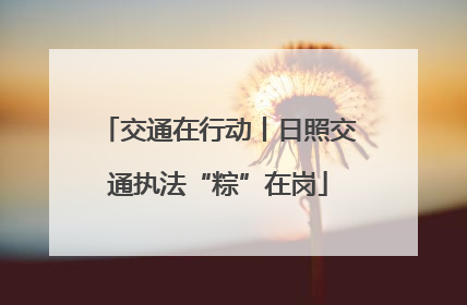 交通在行动丨日照交通执法“粽”在岗