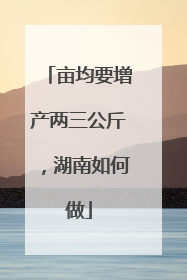 亩均要增产两三公斤，湖南如何做