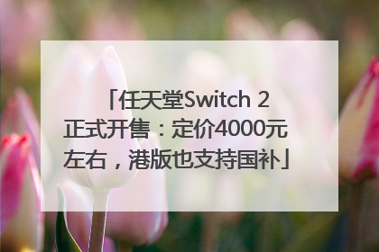 任天堂Switch 2正式开售：定价4000元左右，港版也支持国补