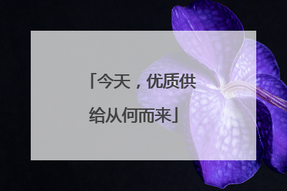 今天，优质供给从何而来