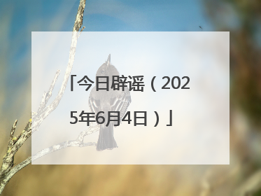 今日辟谣（2025年6月4日）