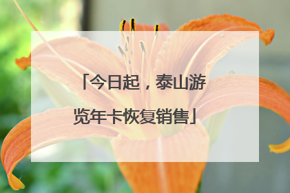 今日起，泰山游览年卡恢复销售
