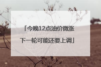 今晚12点油价微涨 下一轮可能还要上调