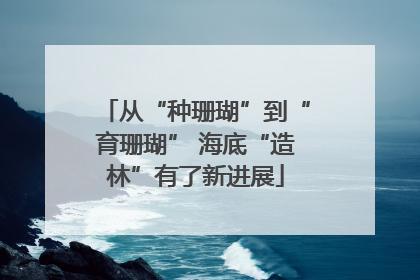 从“种珊瑚”到“育珊瑚” 海底“造林”有了新进展