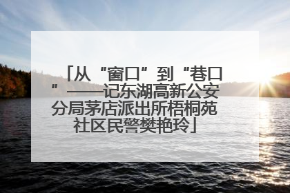 从“窗口”到“巷口”——记东湖高新公安分局茅店派出所梧桐苑社区民警樊艳玲