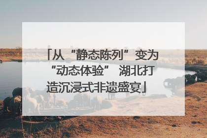 从“静态陈列”变为“动态体验” 湖北打造沉浸式非遗盛宴