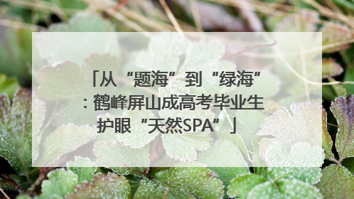 从“题海”到“绿海”：鹤峰屏山成高考毕业生护眼“天然SPA”
