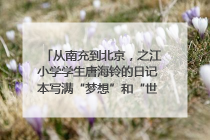 从南充到北京，之江小学学生唐海铃的日记本写满“梦想”和“世界”｜您牵挂的四川