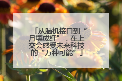 从脑机接口到“月壤成纤”，在上交会感受未来科技的“万种可能”