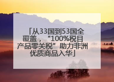 从33国到53国全覆盖，“100%税目产品零关税”助力非洲优质商品入华