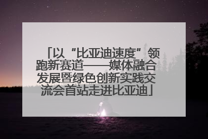 以“比亚迪速度”领跑新赛道——媒体融合发展暨绿色创新实践交流会首站走进比亚迪