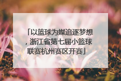 以篮球为媒追逐梦想，浙江省第七届小篮球联赛杭州赛区开赛