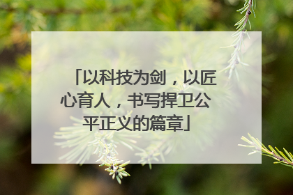 以科技为剑，以匠心育人，书写捍卫公平正义的篇章
