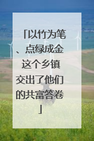 以竹为笔、点绿成金 这个乡镇交出了他们的共富答卷
