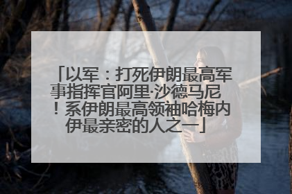 以军：打死伊朗最高军事指挥官阿里·沙德马尼！系伊朗最高领袖哈梅内伊最亲密的人之一
