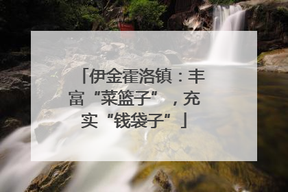 伊金霍洛镇：丰富“菜篮子”，充实“钱袋子”