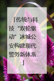 传统与科技“双轮驱动”冰城公安构建现代警务新体系
