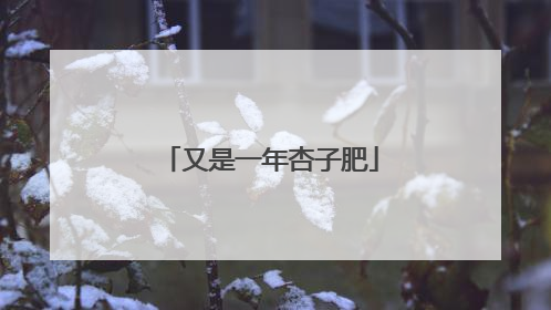 又是一年杏子肥