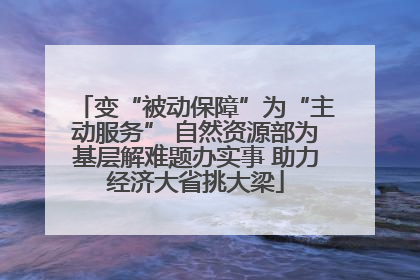 变“被动保障”为“主动服务” 自然资源部为基层解难题办实事 助力经济大省挑大梁