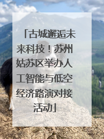 古城邂逅未来科技！苏州姑苏区举办人工智能与低空经济路演对接活动