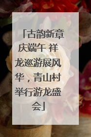 古韵新章庆端午 祥龙巡游展风华，青山村举行游龙盛会