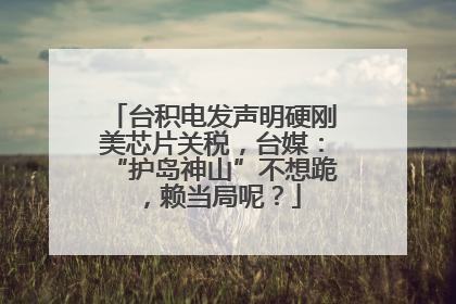 台积电发声明硬刚美芯片关税，台媒：“护岛神山”不想跪，赖当局呢？