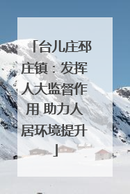 台儿庄邳庄镇：发挥人大监督作用 助力人居环境提升