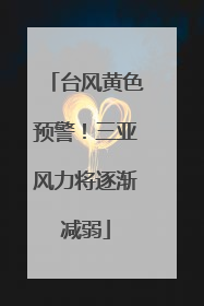 台风黄色预警！三亚风力将逐渐减弱