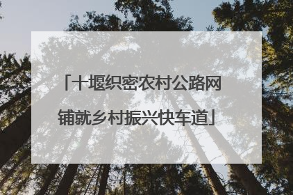 十堰织密农村公路网 铺就乡村振兴快车道